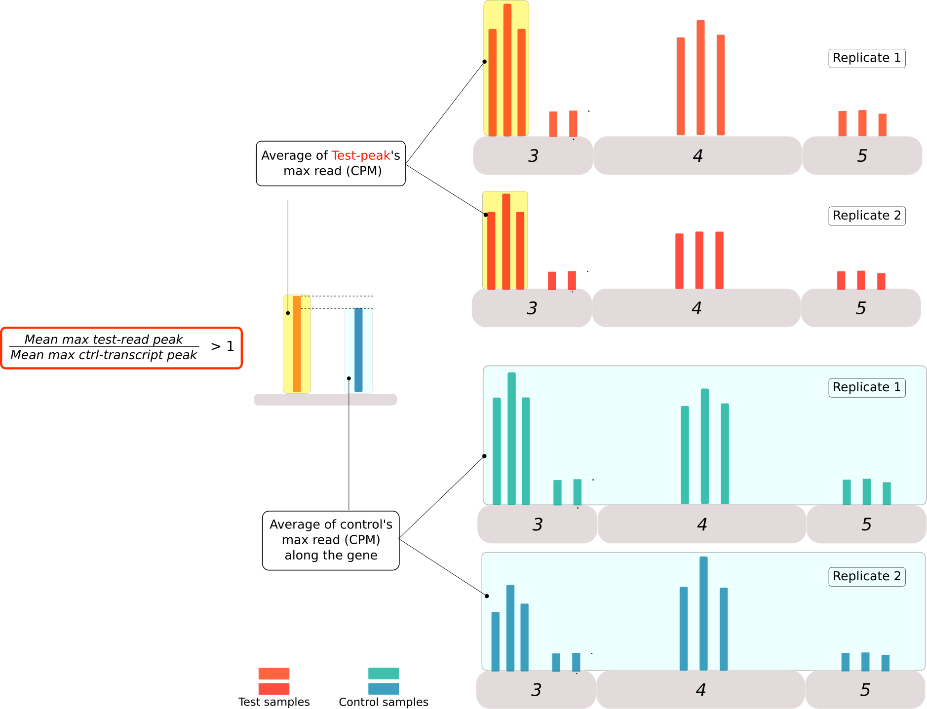 Figure 5: Criteria for the second classification of peaks obtained from the PyDegradome analysis. A ratio between the highest read in the peak region of test samples(mean of scaled values, red bars) and the highest read along the transcript from control samples (light blue bar) were used to classify the peaks into 3 categories. Category A for peaks with a ratio greater than 1. Category B was designed for those transcripts with more than 1 peak, where the ratio was higher than the median value of control samples. Finally category C included all the candidates that could not be classified in the two categories above. No candidates were removed from further analysis.