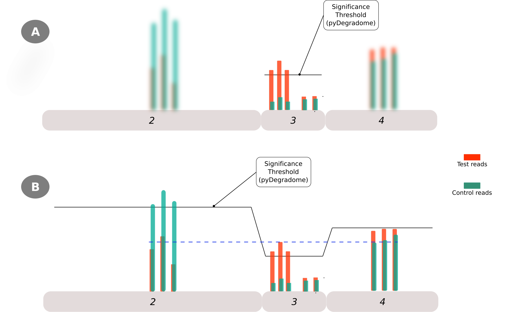 Figure 3: Limitations of PyDegradome script in identifing the region with the highest read along the gene-region. This is due to the exon-focused nature on which peaks are identied (A) and how this may ignore the information of neighboring exons where reads with larger values could be found (B)